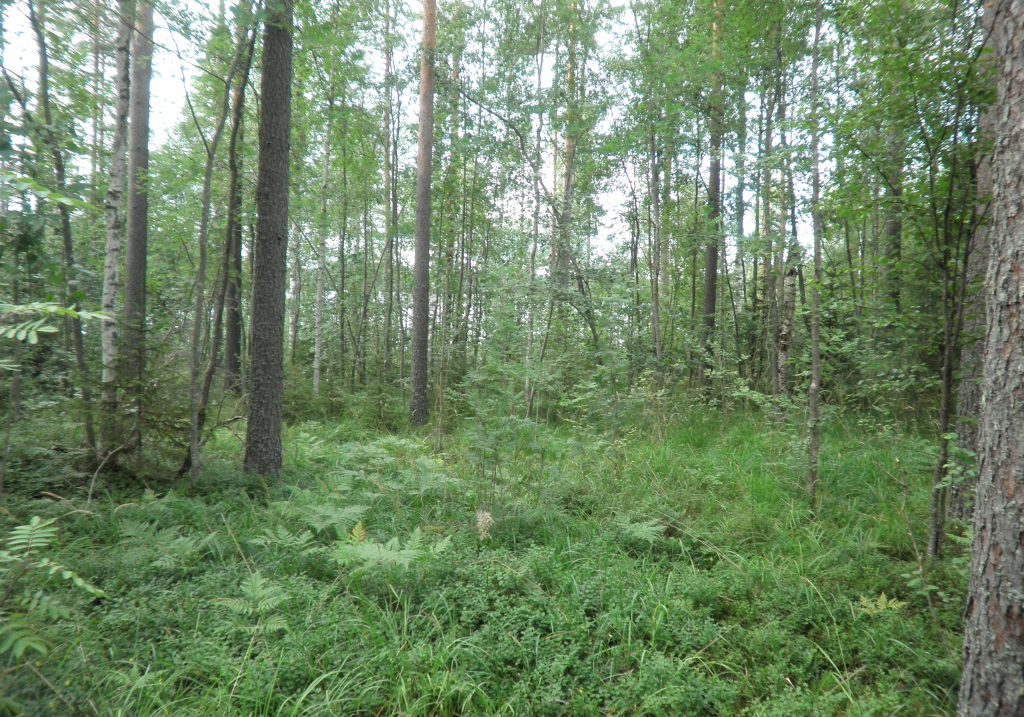 Tila Lahna RN:o 2:105