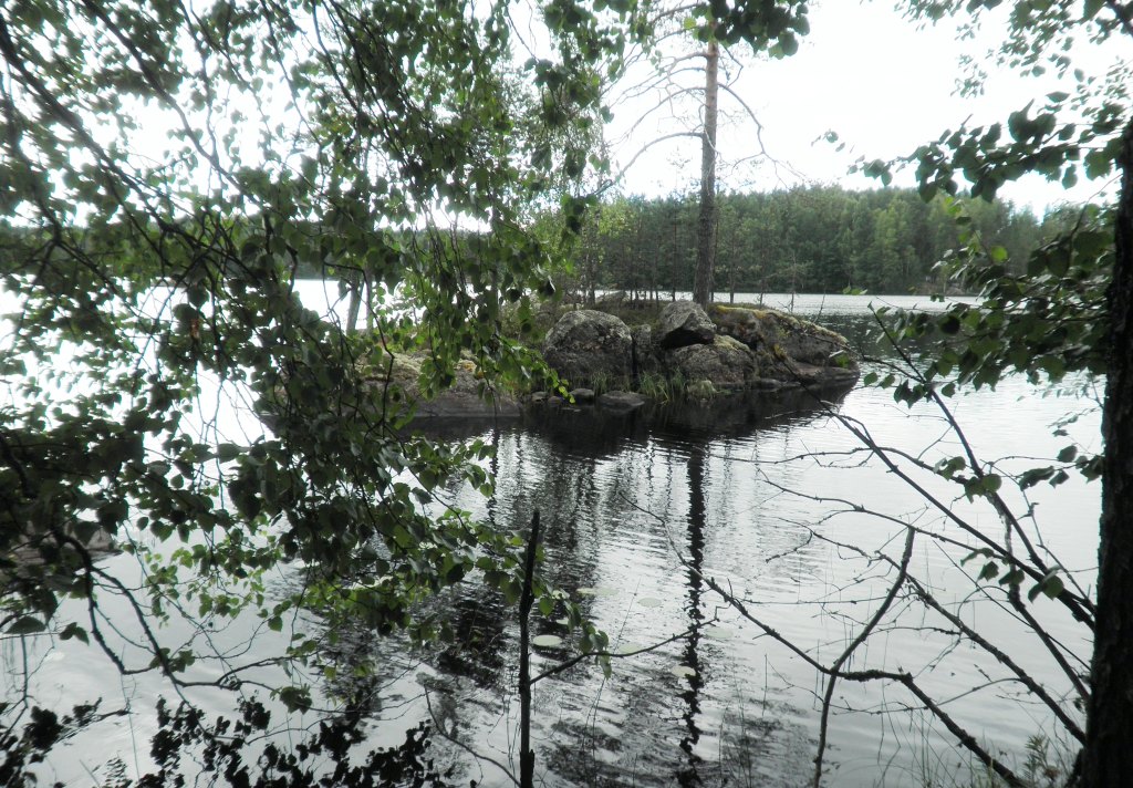 Tila Hauki RN:o 2:102