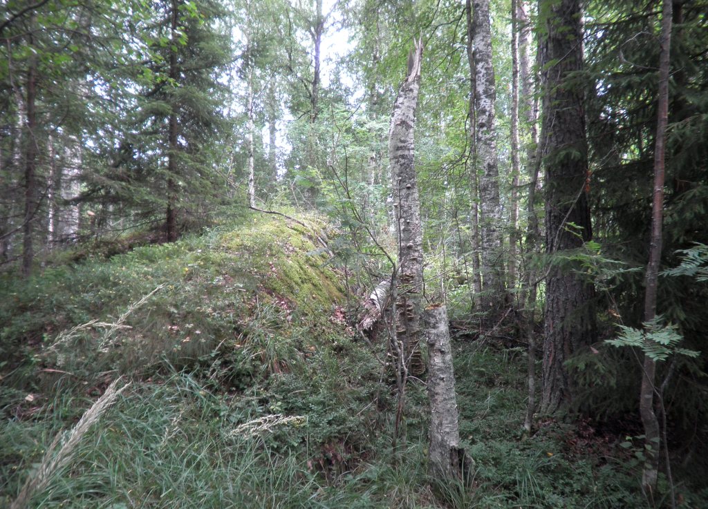 Tila Lohi RN:o 2:101