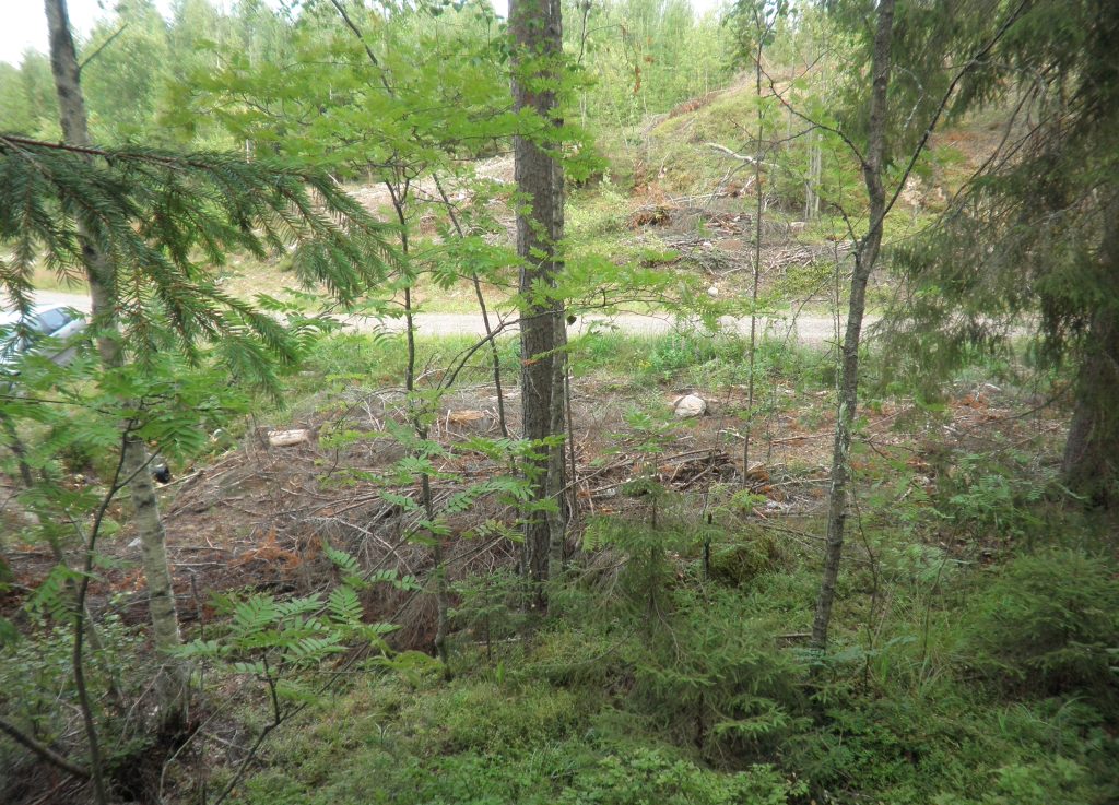 Tila Vehkaniemi RN:o 2:104