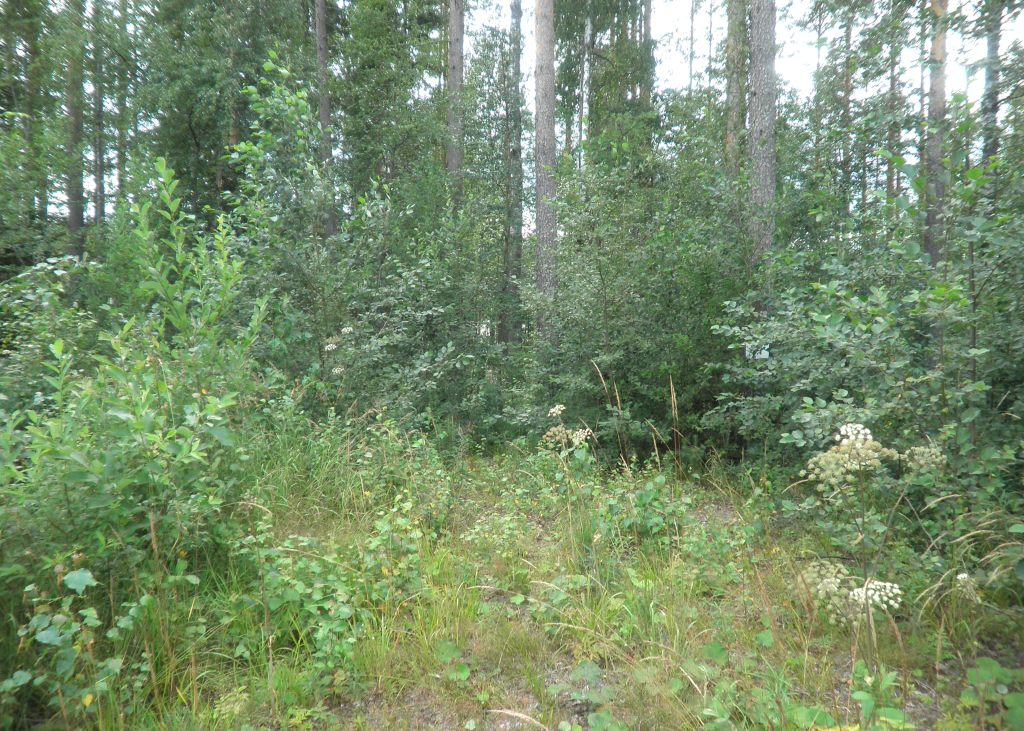 Tila Lahna RN:o 2:105