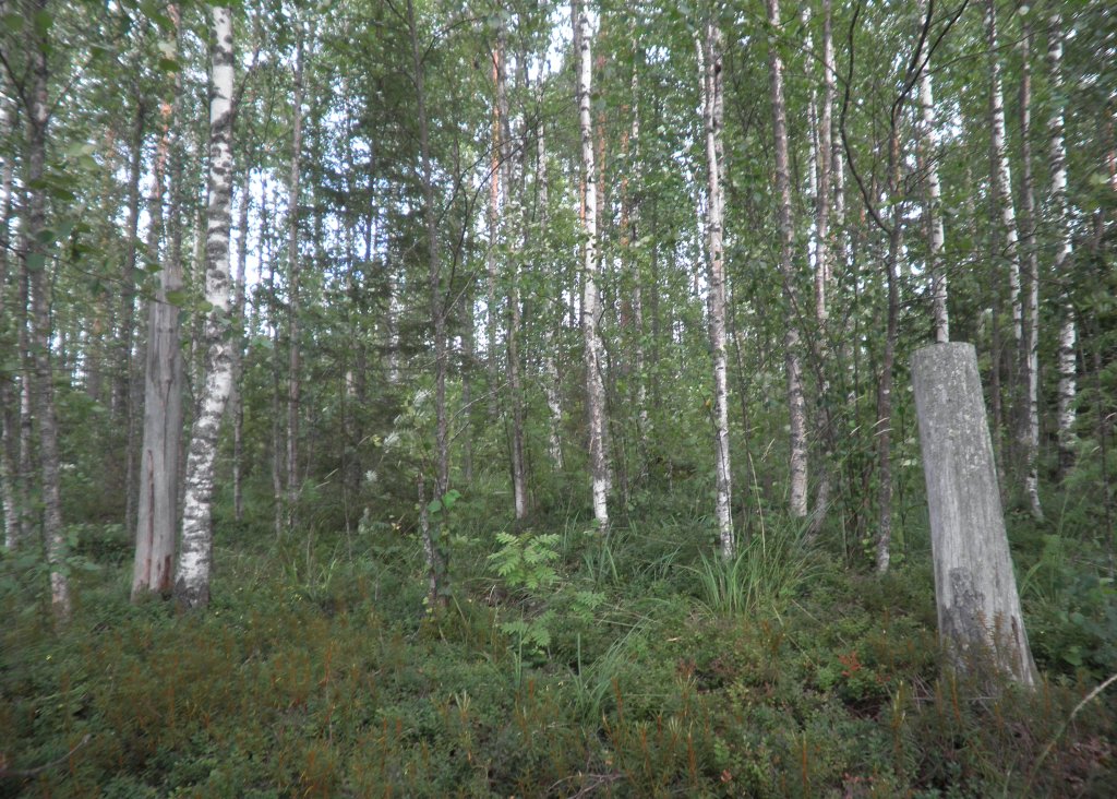 Tila Lahna RN:o 2:105