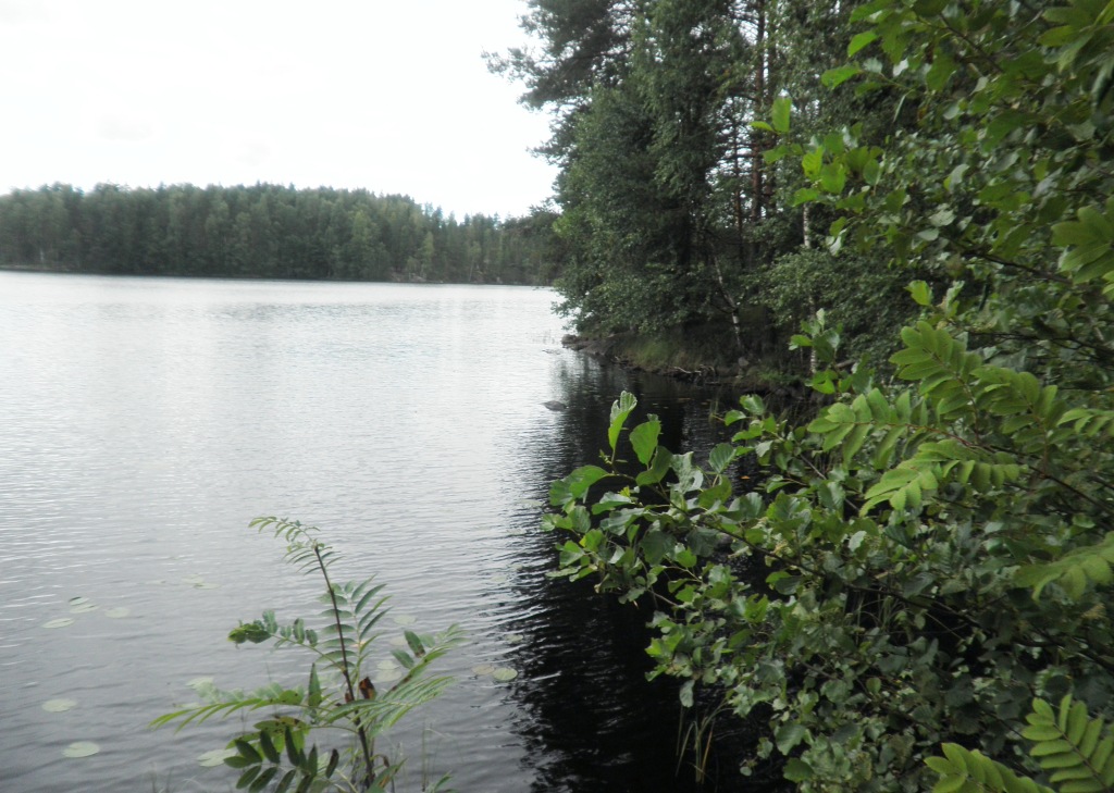 Tila Hauki RN:o 2:102