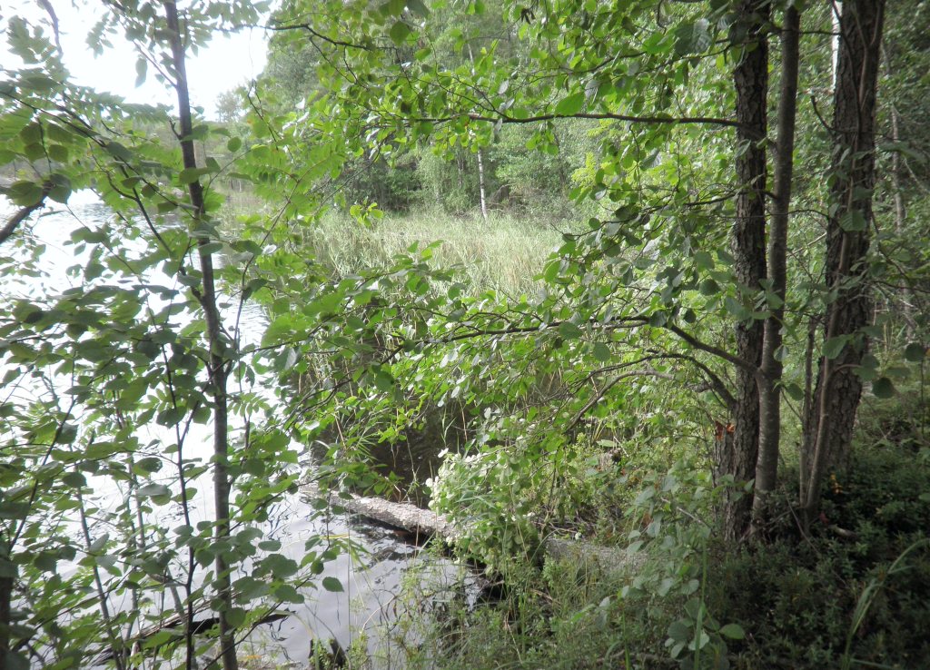 Tila Lohi RN:o 2:101