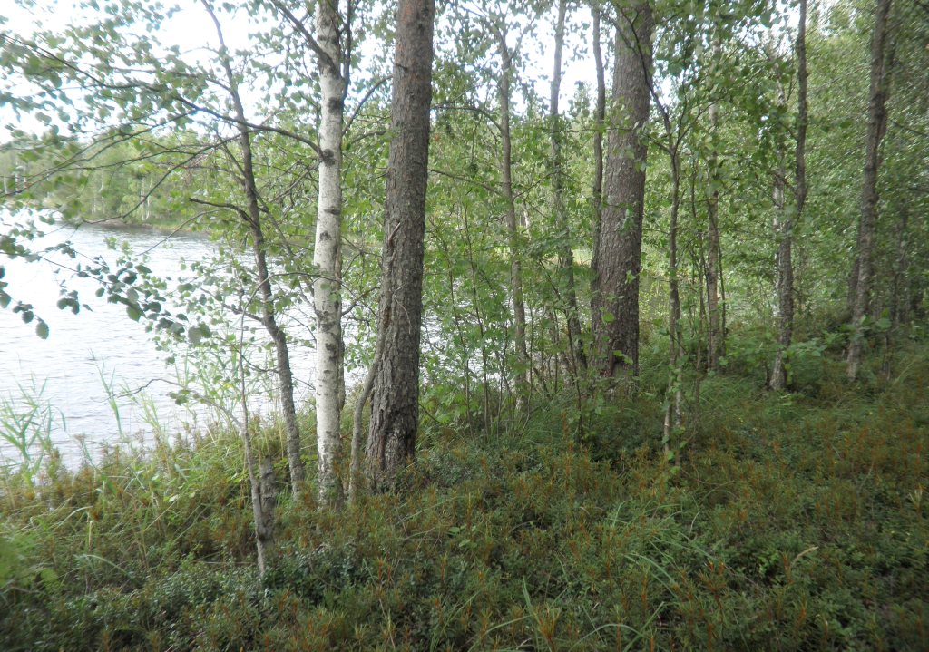 Tila Lahna RN:o 2:105