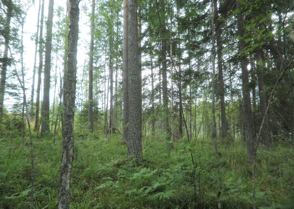 Tila Lahna RN:o 2:105