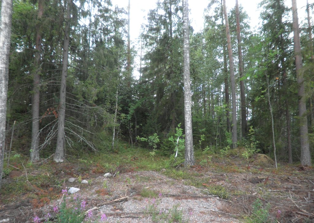 Tila Vehkaniemi RN:o 2:104