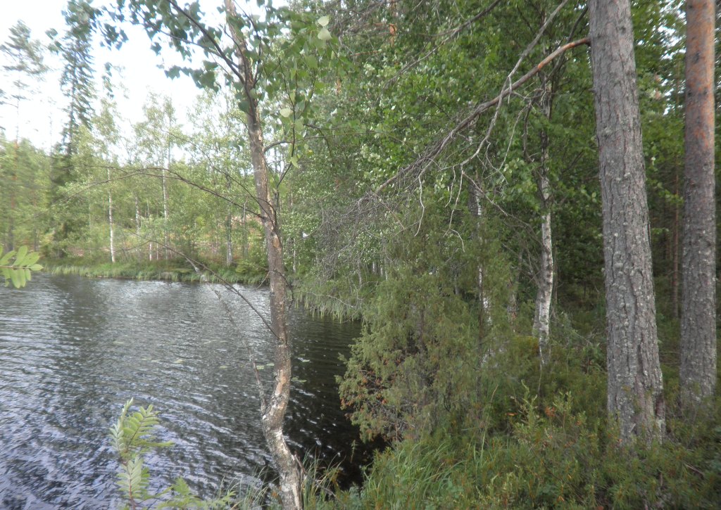 Tila Vehkaniemi RN:o 2:104