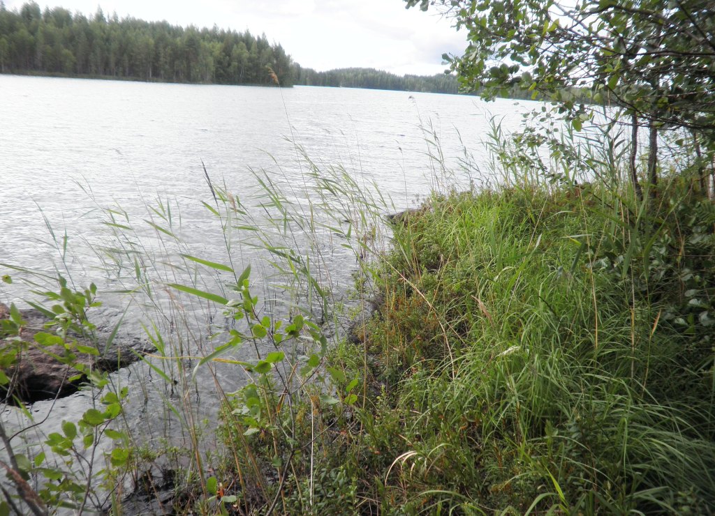 Tila Lahna RN:o 2:105