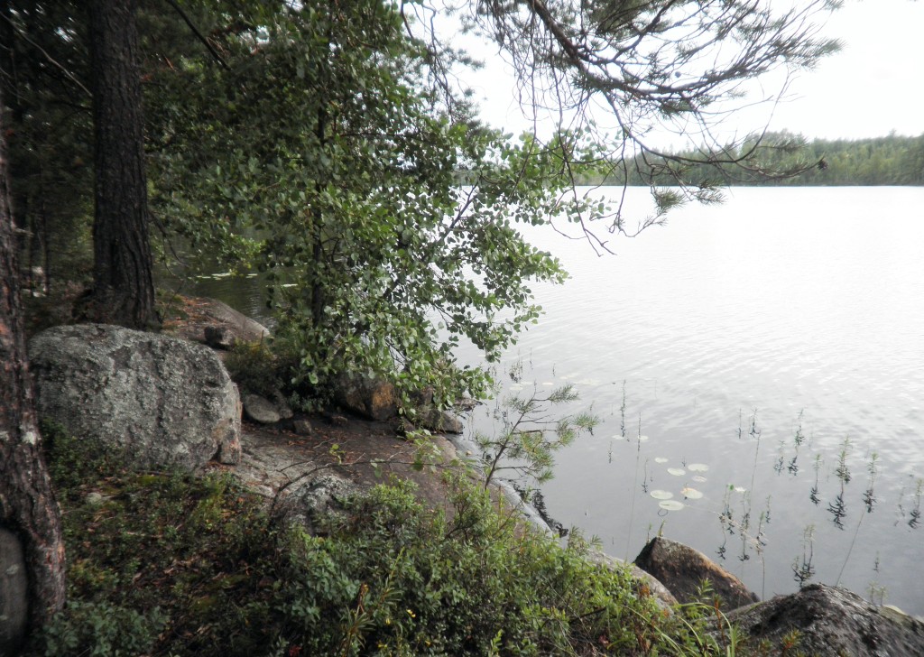 Tila Hauki RN:o 2:102