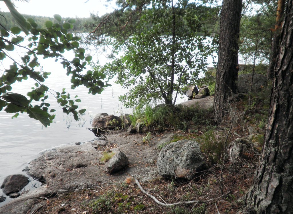 Tila Hauki RN:o 2:102