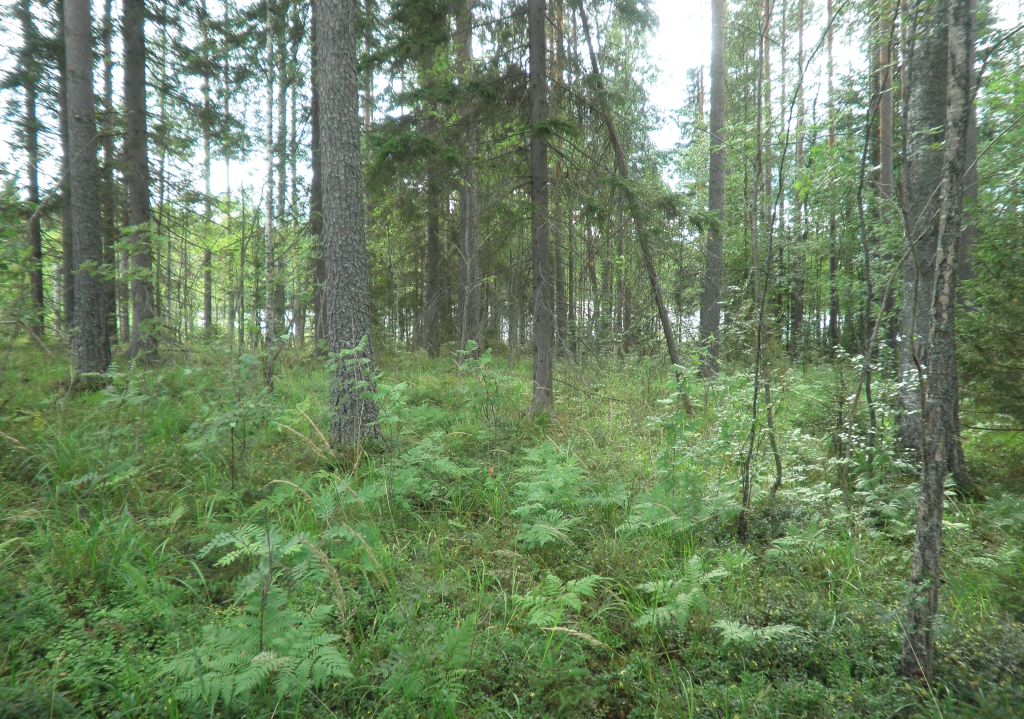 Tila Lahna RN:o 2:105