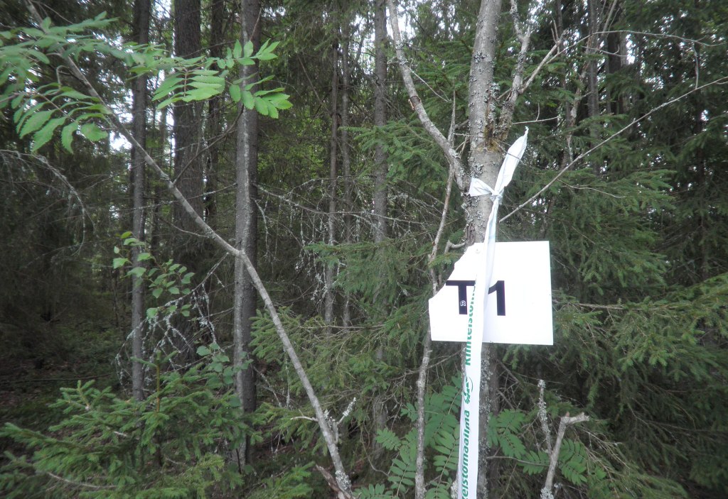 Tila Siika RN:o 2:103