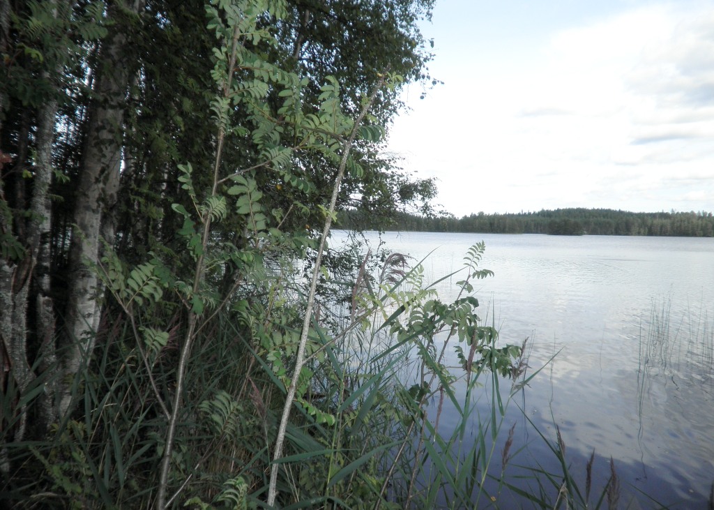 Visatie, Savonkaita -järvi, Ruokolahti Kemppilä Karpalo R:no 3:23 -, Kemppilä, Ruokolahti