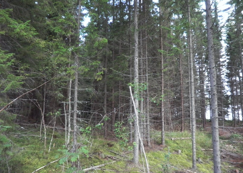 Visatie, Savonkaita -järvi, Ruokolahti Kemppilä Karpalo R:no 3:23 -, Kemppilä, Ruokolahti