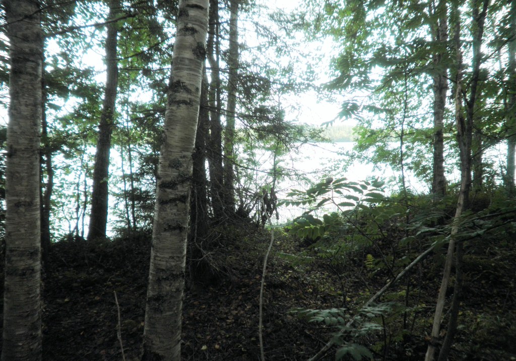 Visatie, Savonkaita -järvi, Ruokolahti Kemppilä Karpalo R:no 3:23 -, Kemppilä, Ruokolahti