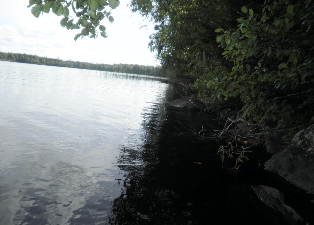 Visatie, Savonkaita -järvi, Ruokolahti Kemppilä Karpalo R:no 3:23 -, Kemppilä, Ruokolahti