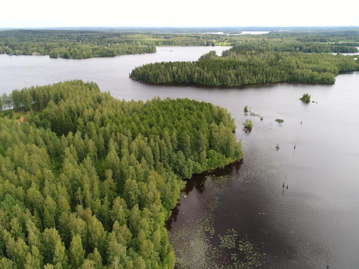 Sölvenkatu 3, Kosulanniemi, Varkaus