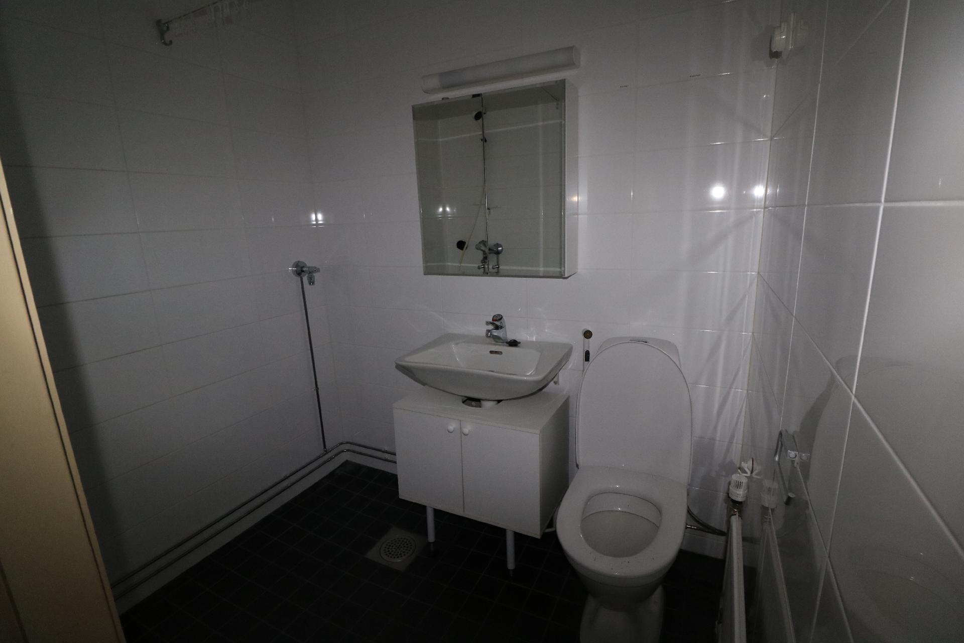 Remontoitu kylpyhuone