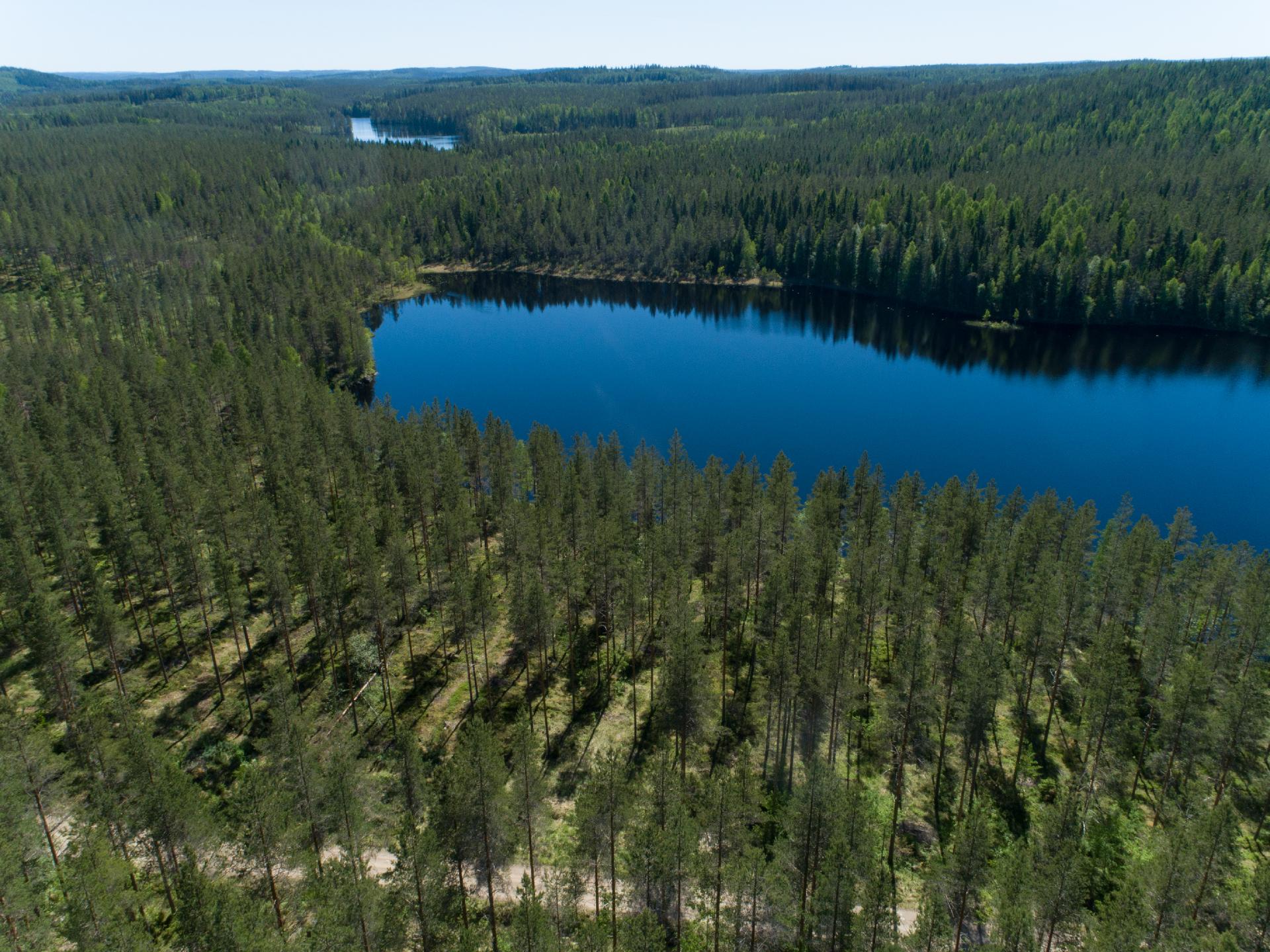 Pieni Niinijärvi tontti 2, Uurainen