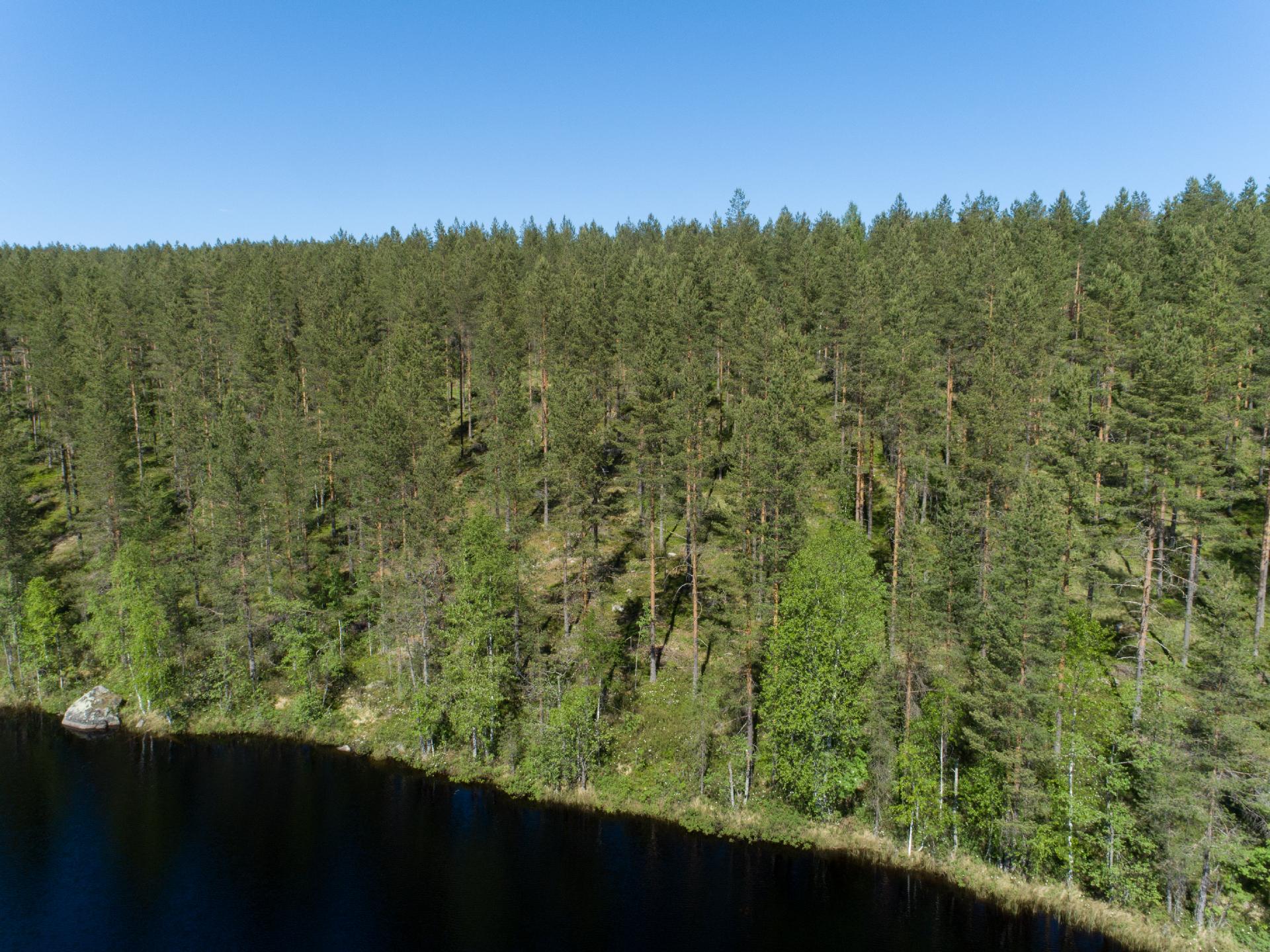 Pieni Niinijärvi tontti 2, Uurainen