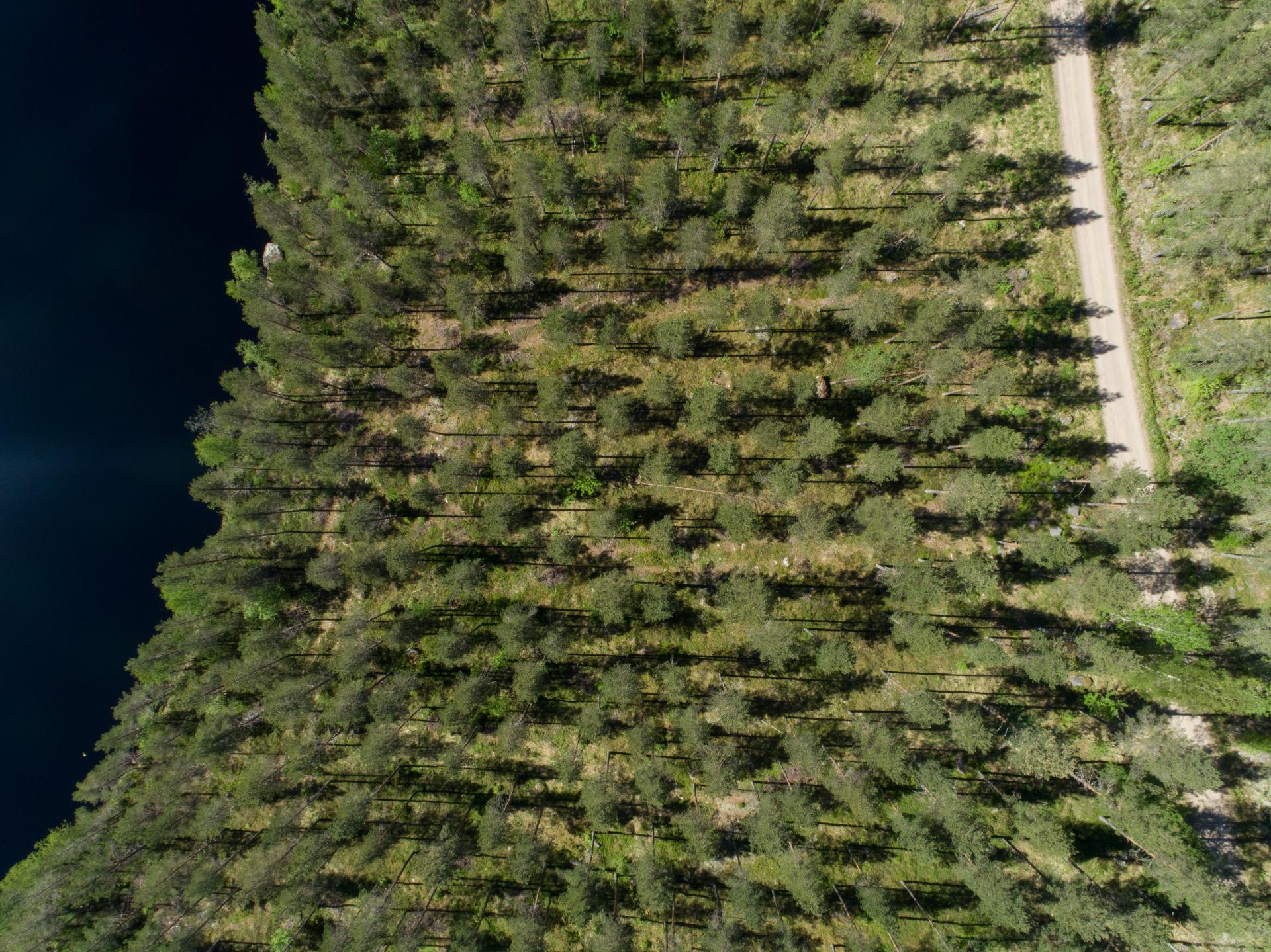 Pieni Niinijärvi tontti 2, Uurainen