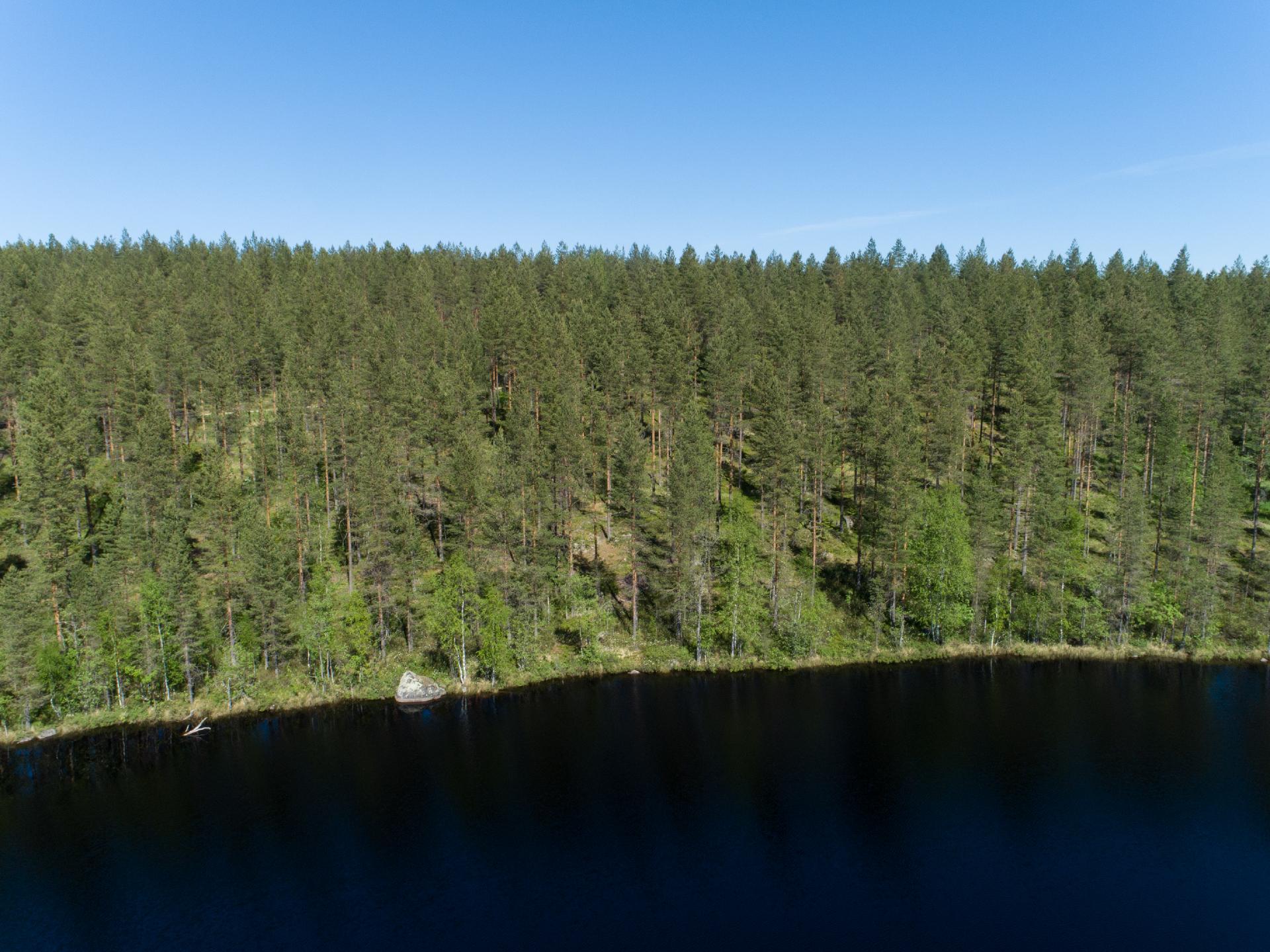 Pieni Niinijärvi tontti 2, Uurainen