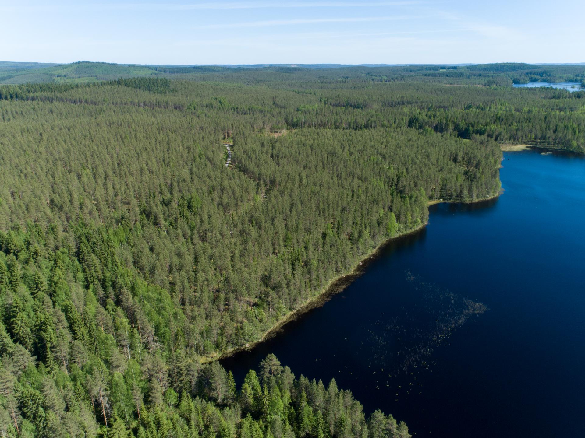 Rajajärvi tontti 2, Uurainen