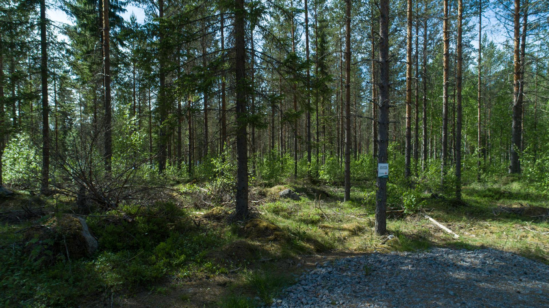 Rajajärvi tontti 2, Uurainen