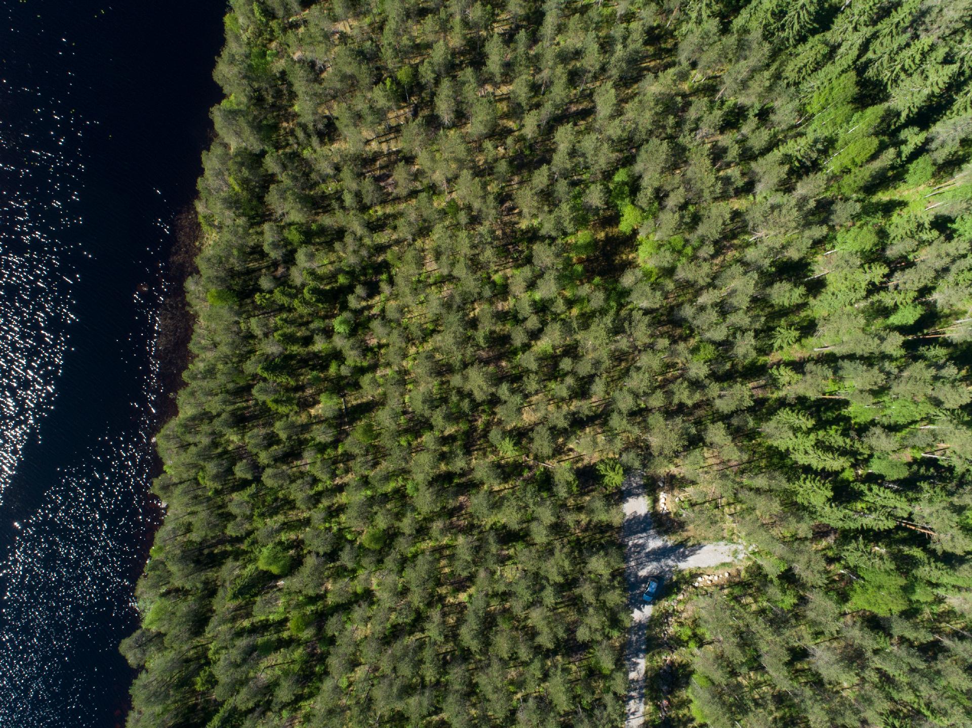 Rajajärvi tontti 2, Uurainen