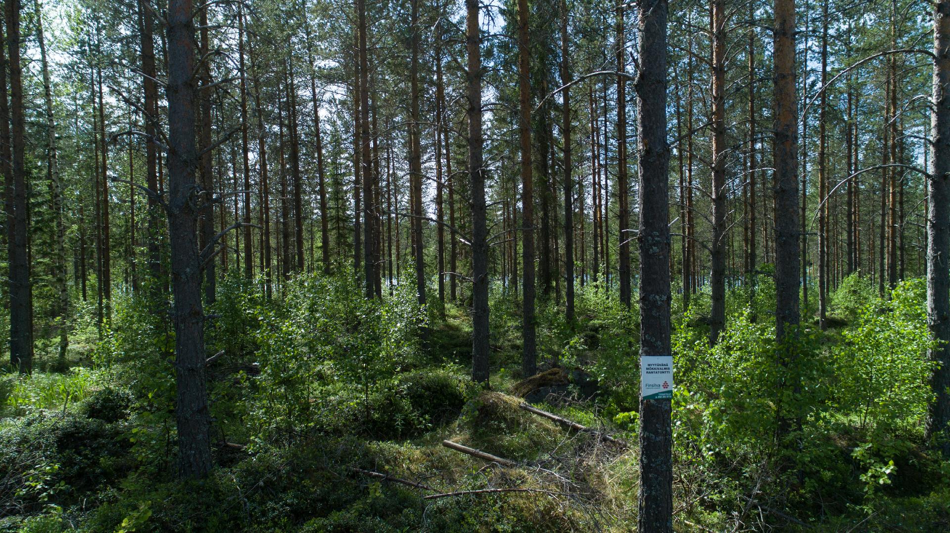Rajajärvi tontti 3, Uurainen