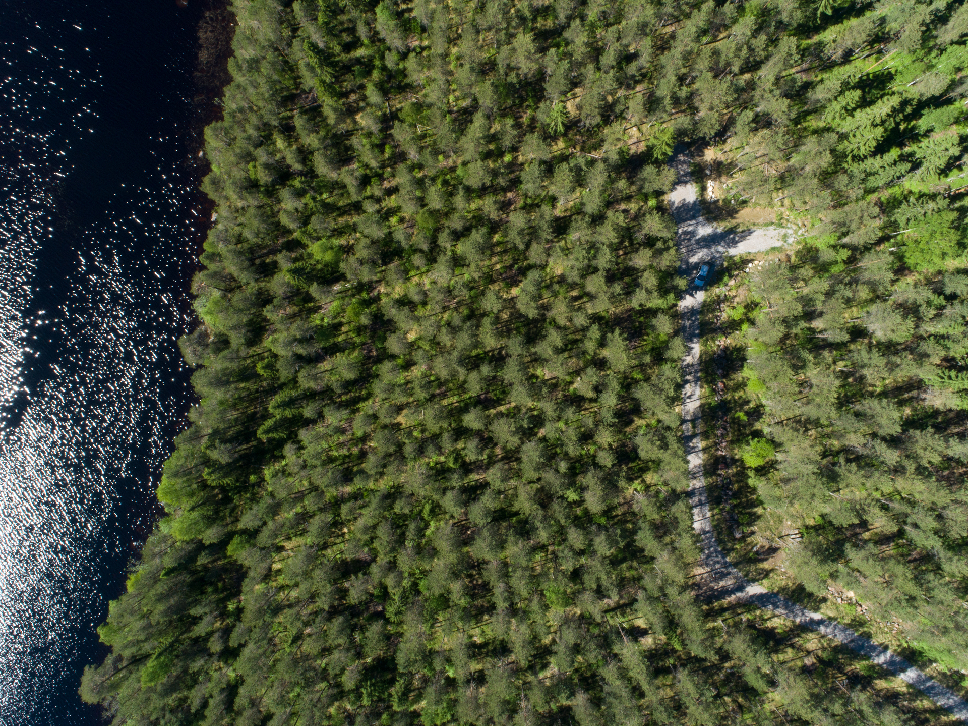Rajajärvi tontti 3, Uurainen