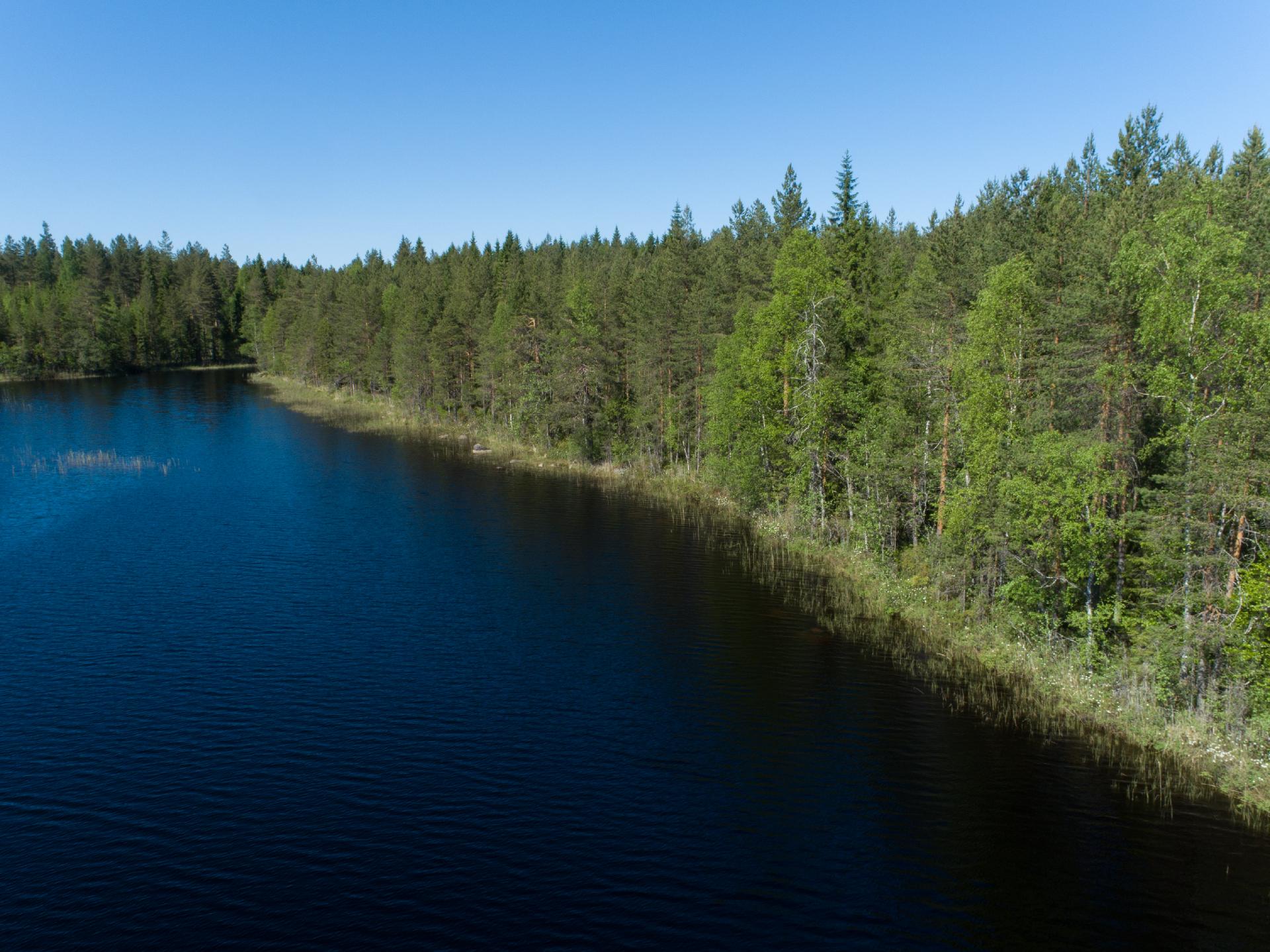 Rajajärvi tontti 3, Uurainen