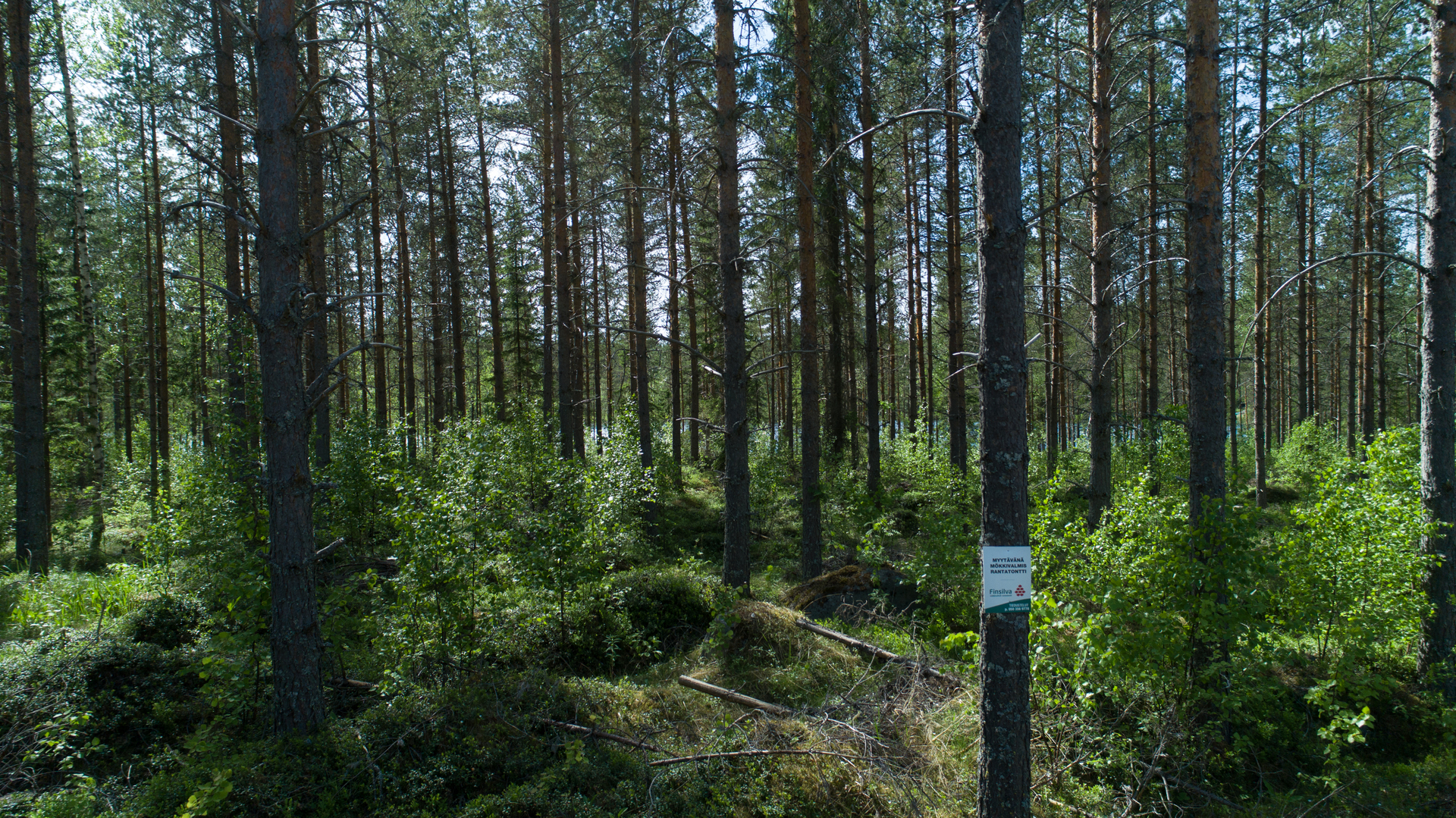 Rajajärvi tontti 3, Uurainen