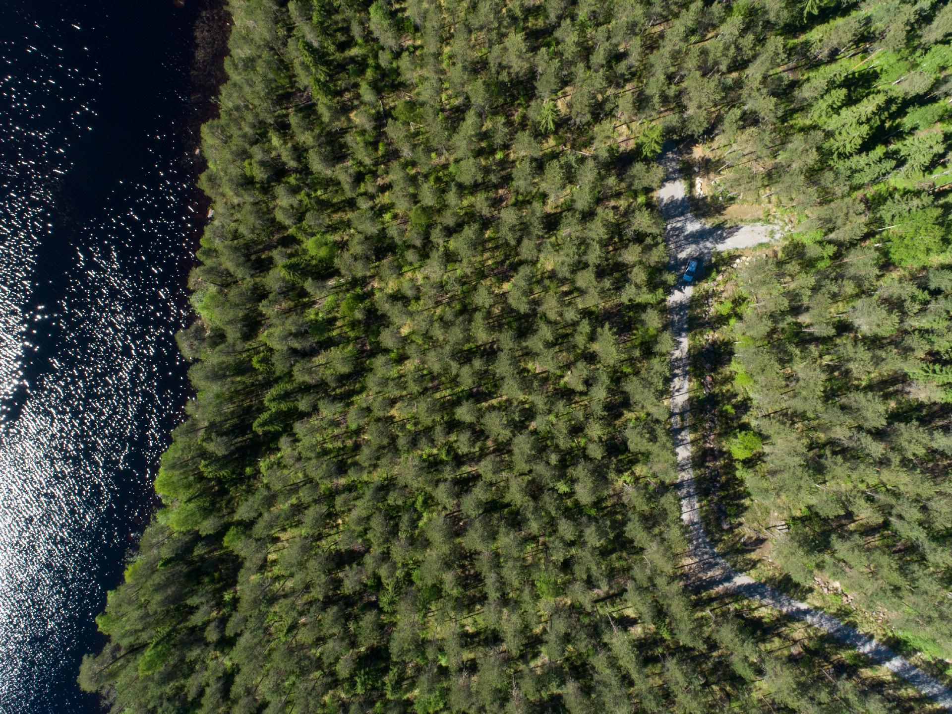 Rajajärvi tontti 3, Uurainen