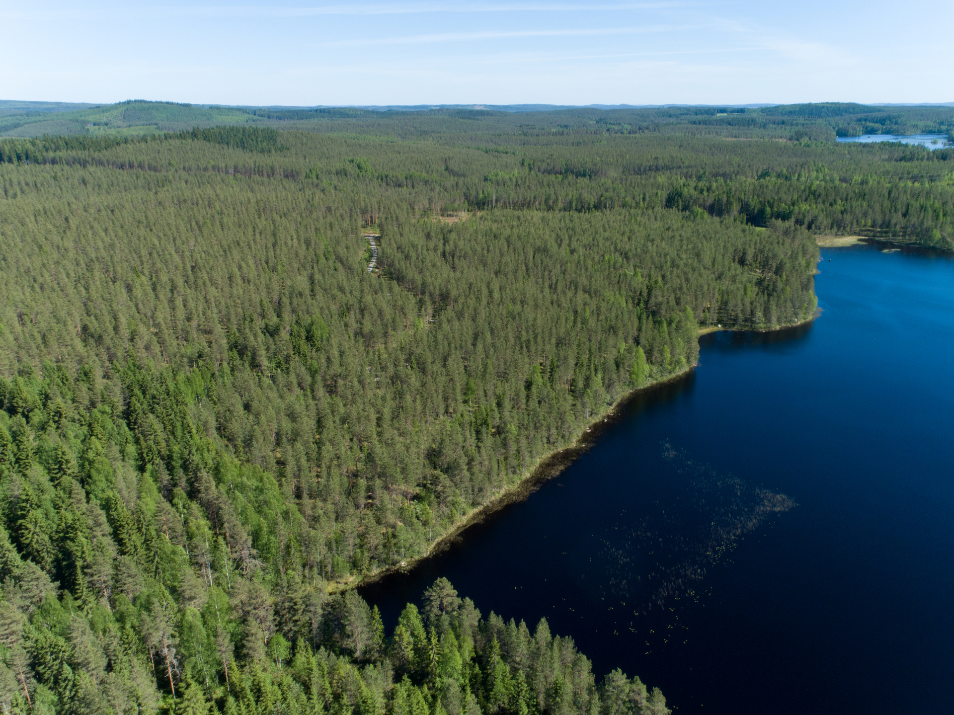 Rajajärvi tontti 4, Uurainen
