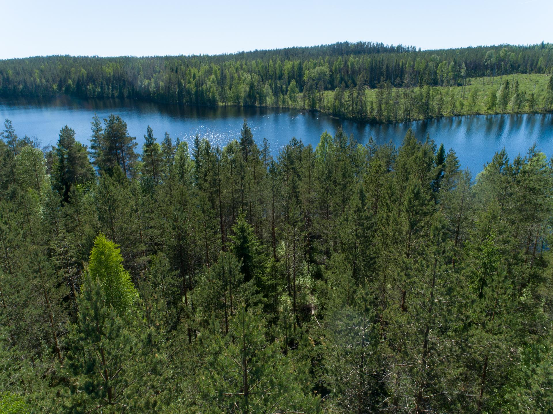 Rajajärvi tontti 4, Uurainen