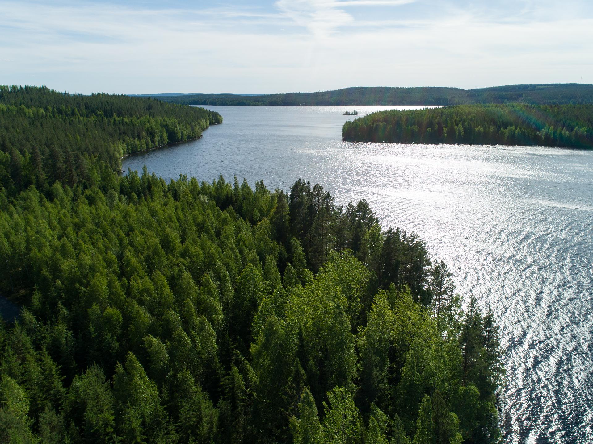 Uittosalmentie Tontti 1, Piilola, Äänekoski