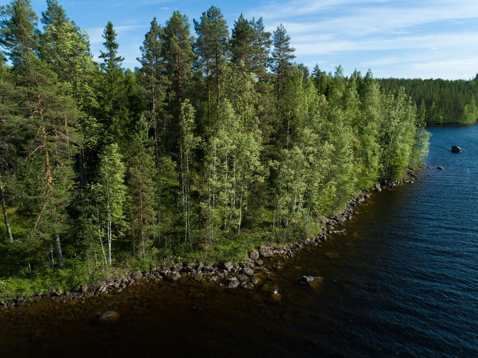 Uittosalmentie Tontti 1, Piilola, Äänekoski