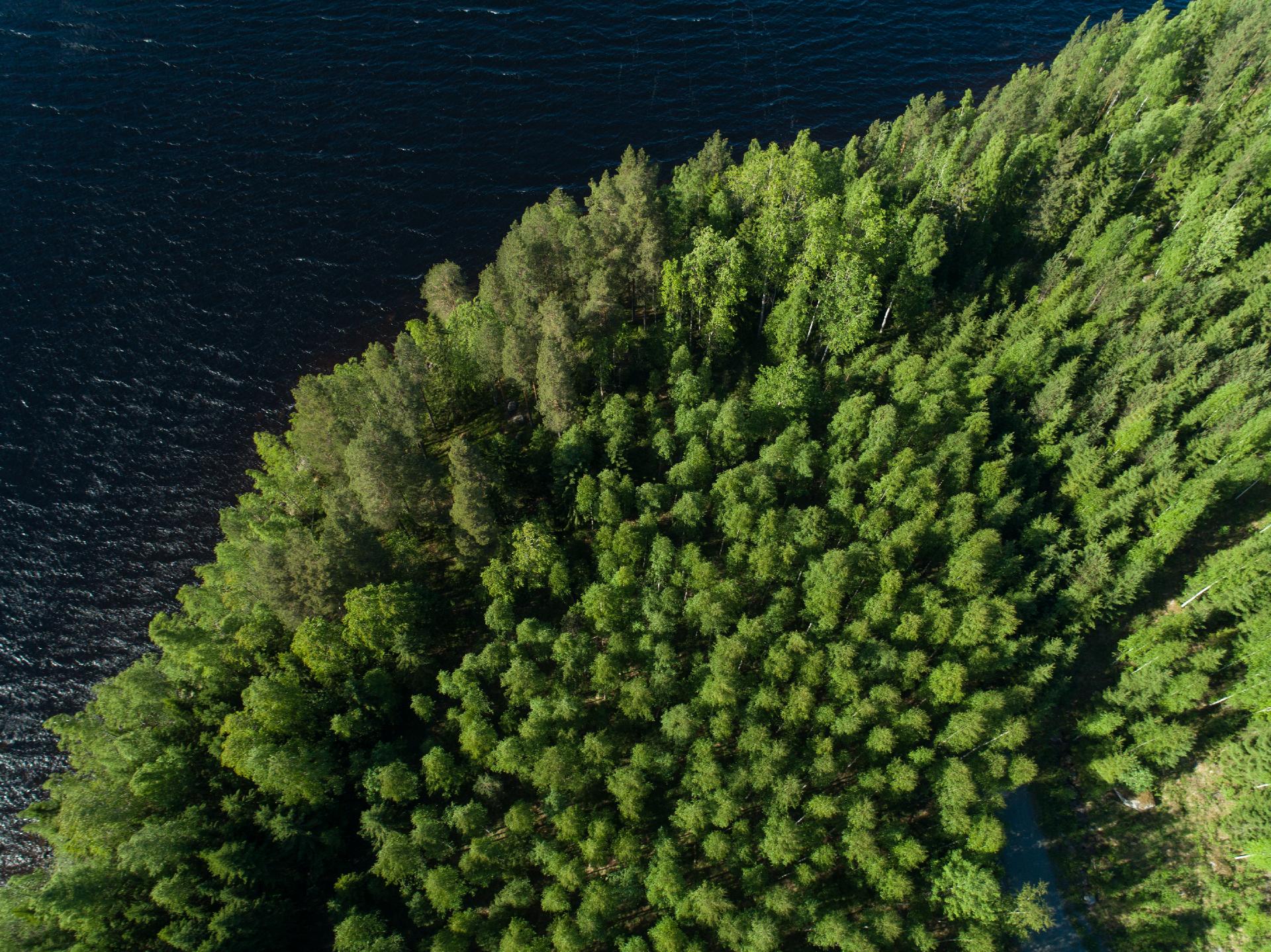 Uittosalmentie Tontti 2, Piilola, Äänekoski