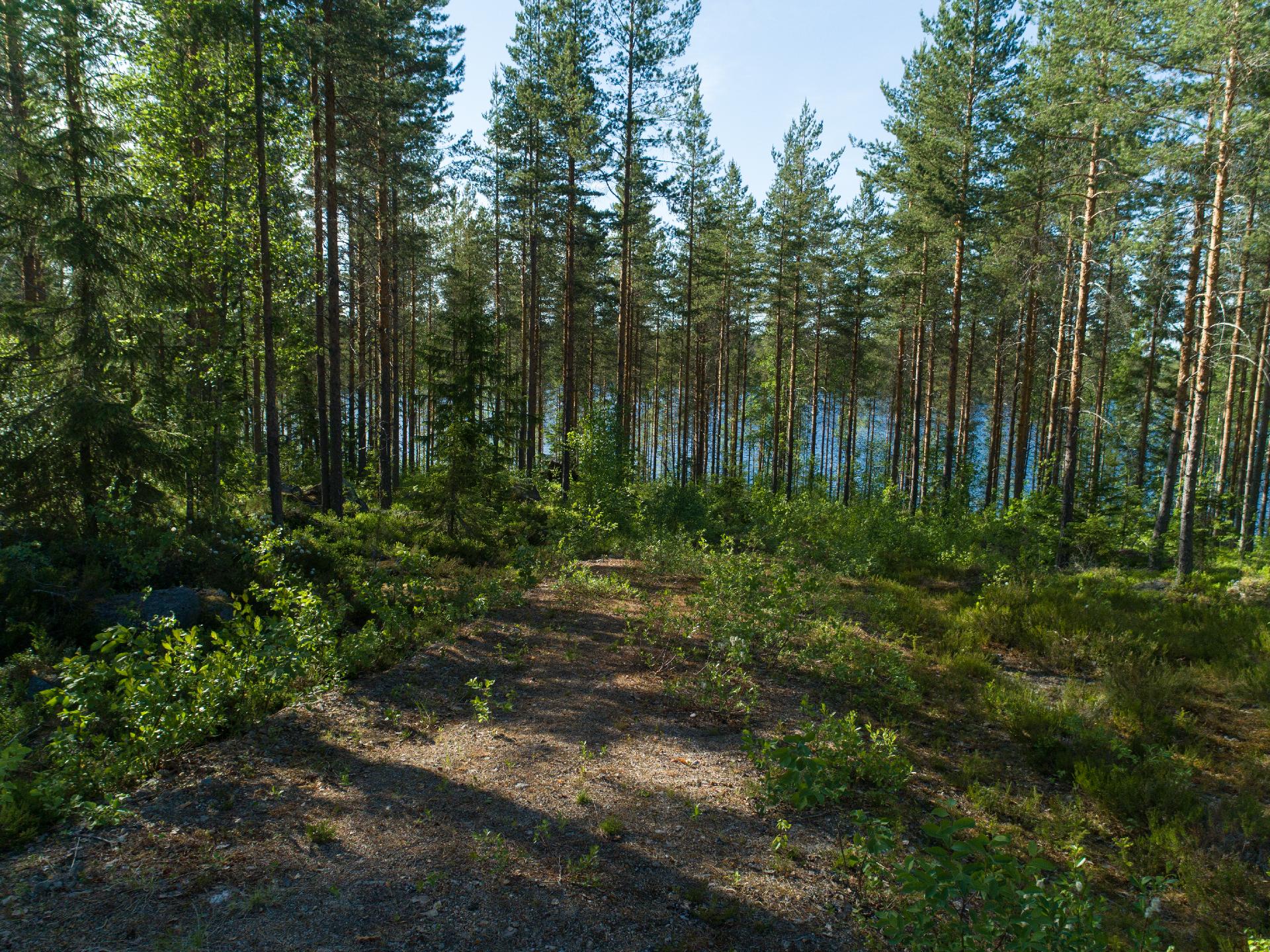 Uittosalmentie Tontti 4, Piilola, Äänekoski