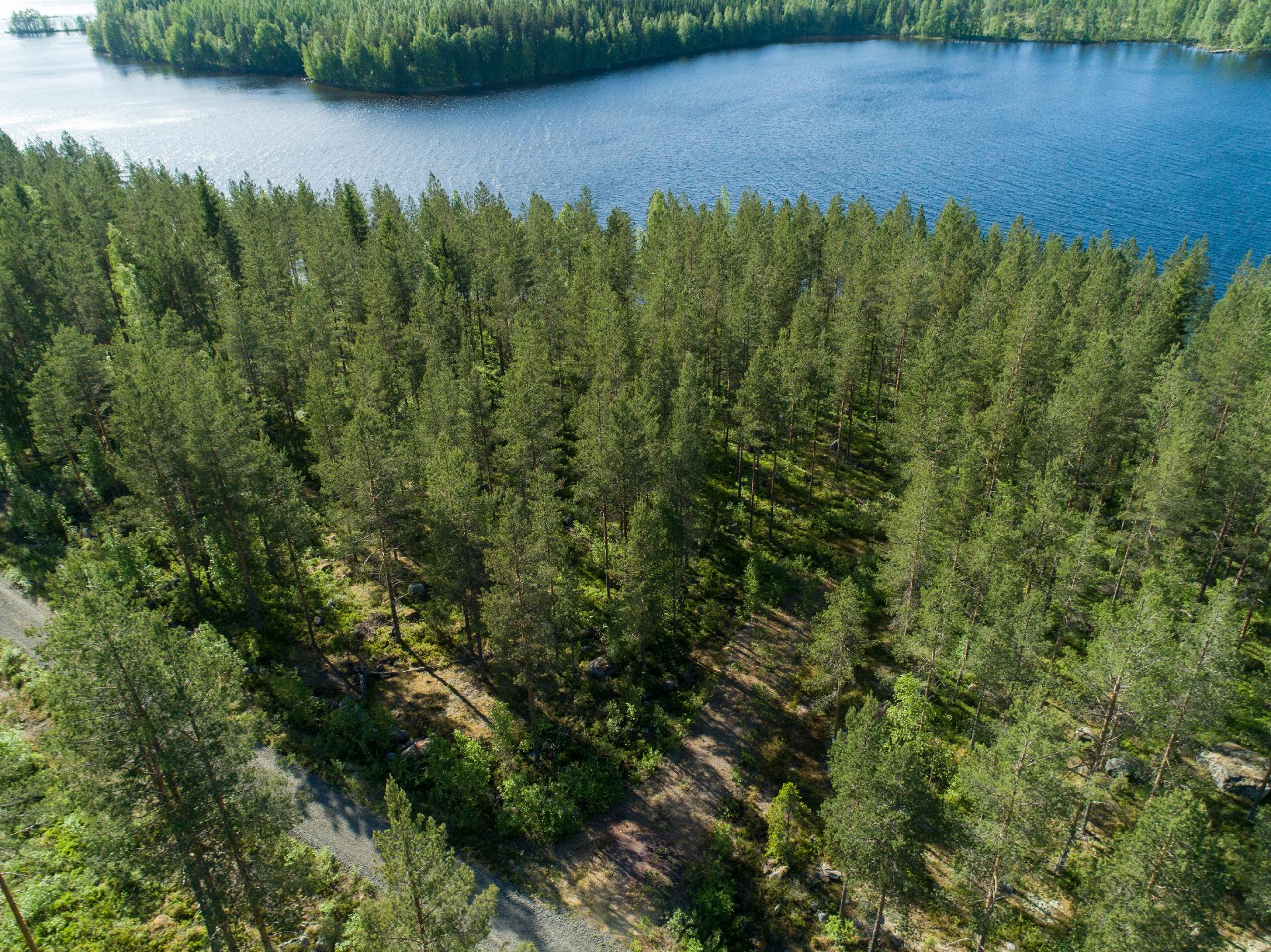 Uittosalmentie Tontti 4, Piilola, Äänekoski