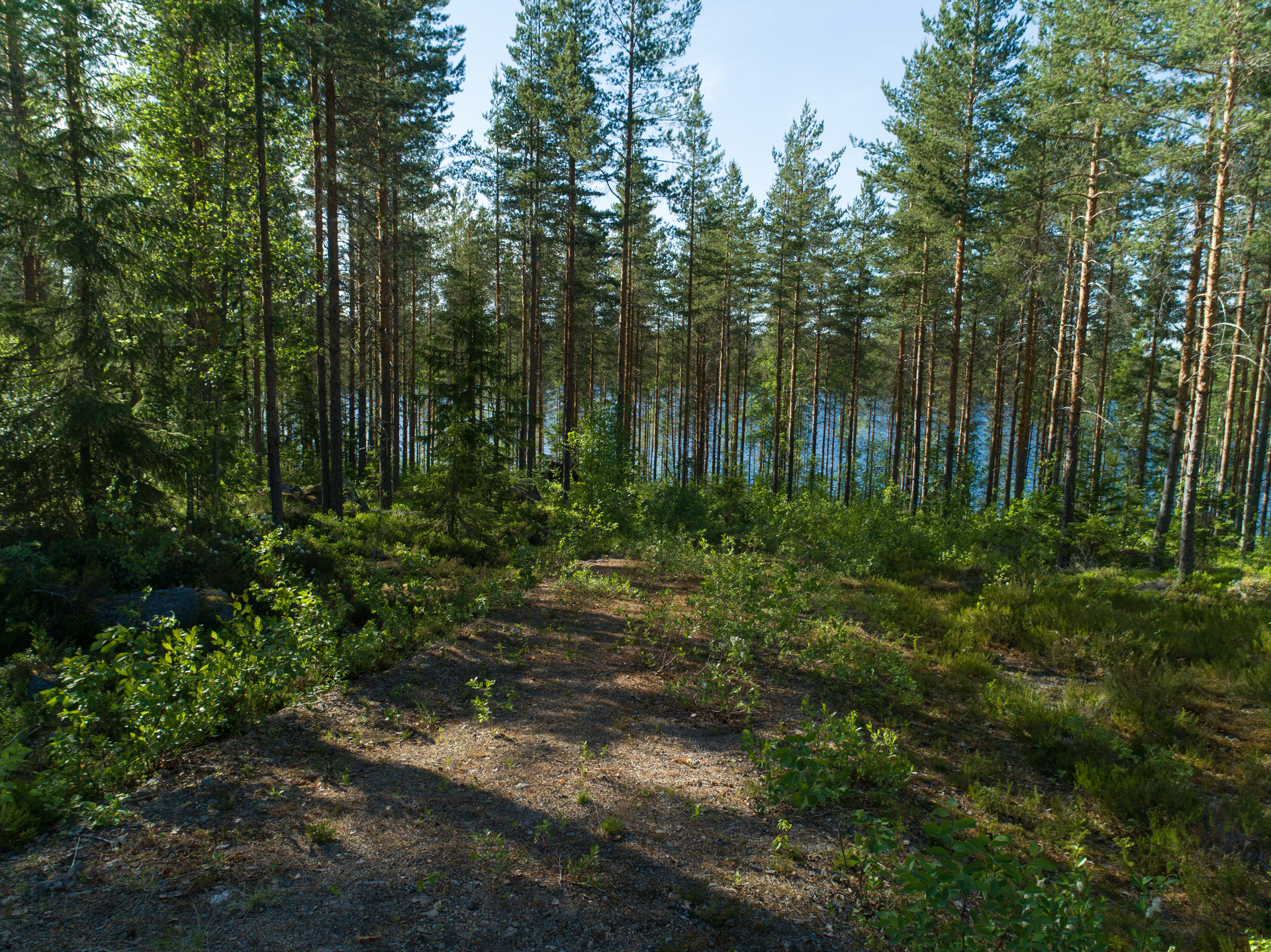 Uittosalmentie Tontti 5, Piilola, Äänekoski