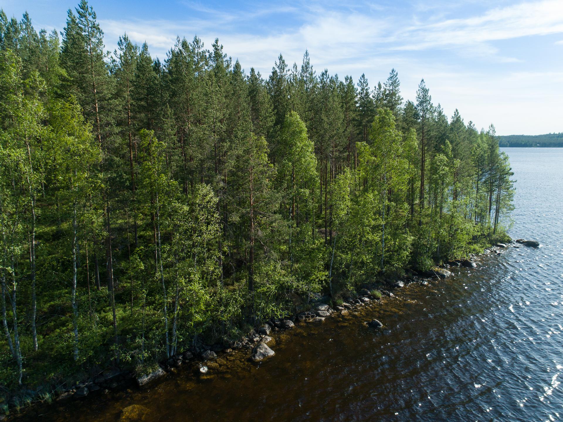 Uittosalmentie Tontti 5, Piilola, Äänekoski