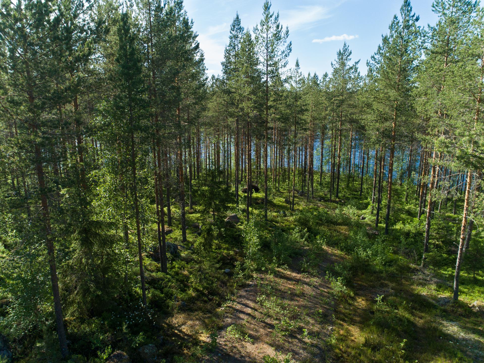 Uittosalmentie Tontti 6, Piilola, Äänekoski