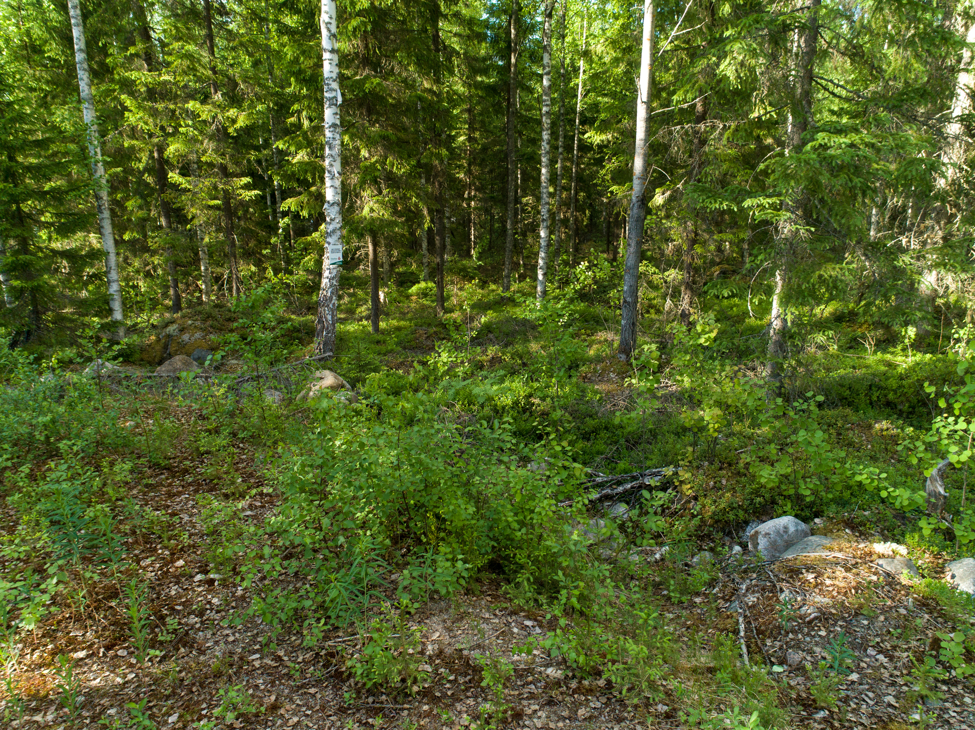 Uittosalmentie Tontti 7, Piilola, Äänekoski