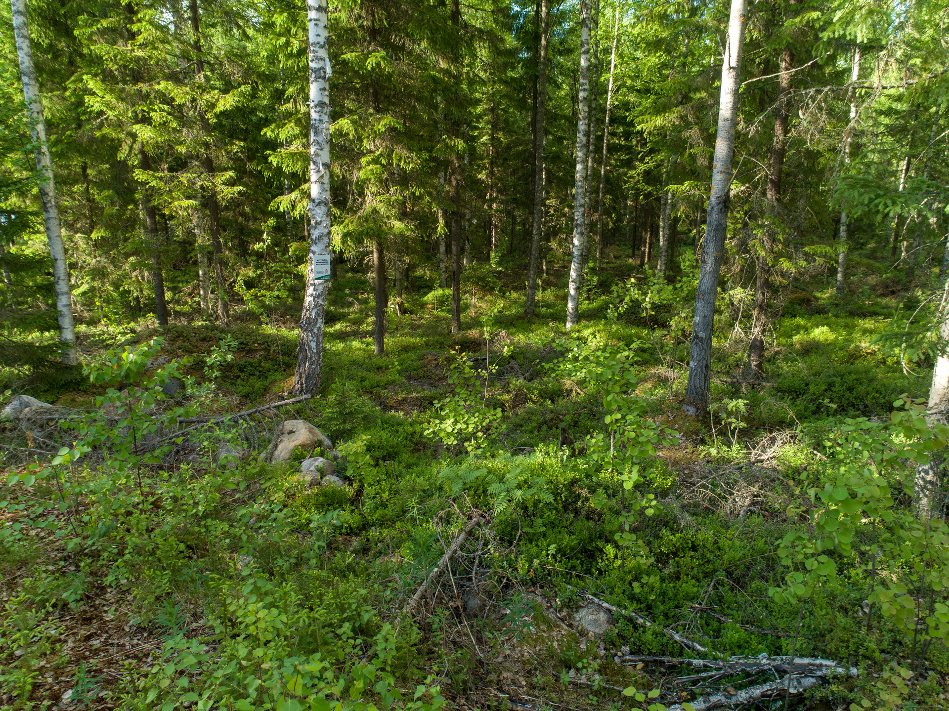 Uittosalmentie Tontti 7, Piilola, Äänekoski