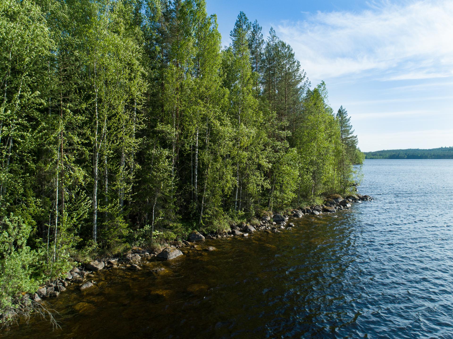 Uittosalmentie Tontti 7, Piilola, Äänekoski