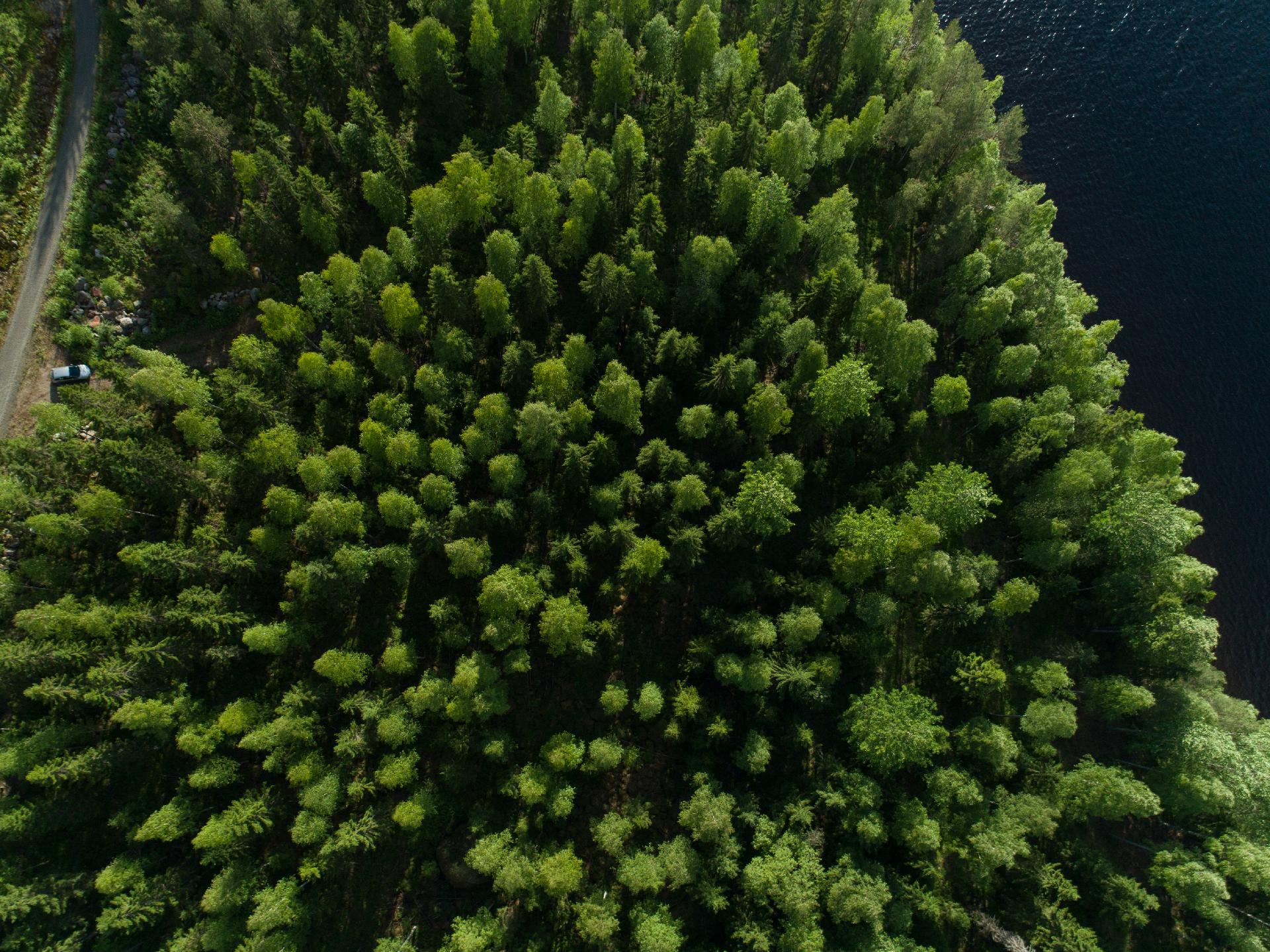 Uittosalmentie Tontti 7, Piilola, Äänekoski