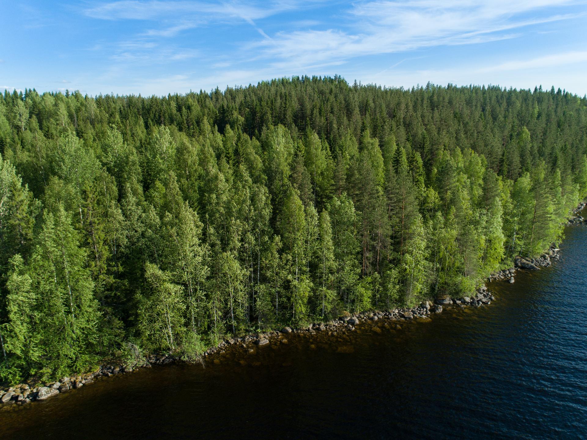 Uittosalmentie Tontti 7, Piilola, Äänekoski